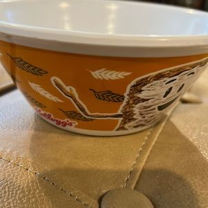 Kelloggs mini frosted shredded wheat’s bowl